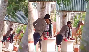 Hot Couples Lovers Fucking In Park Viral Sex Video